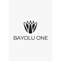Bayolu Investments Careers