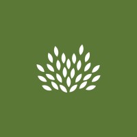 Yardscape Pools Landscaping