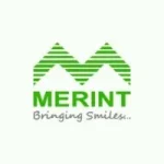 the merint group logo