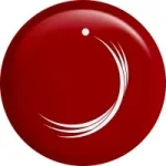 zayed university logo 2